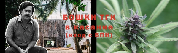 твердый Верхний Тагил