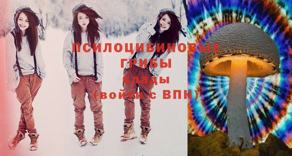 PSILOCYBIN Волосово