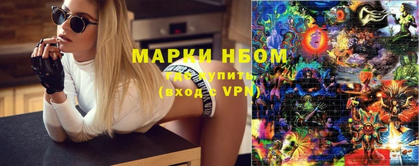 PSILOCYBIN Волосово