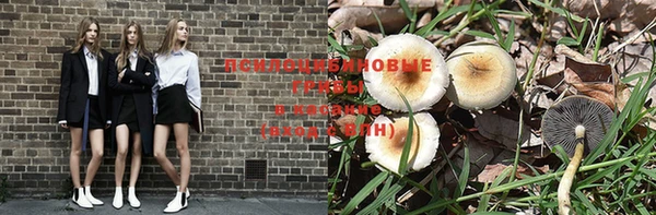не бодяженный Волоколамск