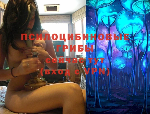 мяу мяу мука Вязьма