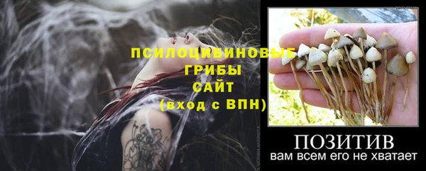 не бодяженный Волоколамск
